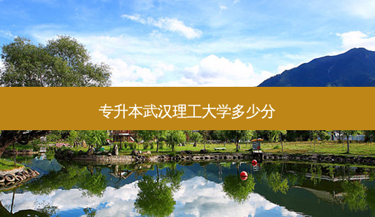专升本武汉理工大学多少分-第1张图片-天智网 专升本武汉理工大学多少分-第1张图片-天智网
