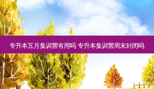 专升本五月集训营有用吗 专升本集训营周末封闭吗-第1张图片-天智网 专升本五月集训营有用吗 专升本集训营周末封闭吗-第1张图片-天智网