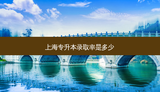 上海专升本录取率是多少-第1张图片-天智网 上海专升本录取率是多少-第1张图片-天智网