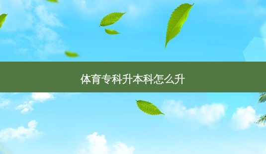 体育专科升本科怎么升-第1张图片-天智网 体育专科升本科怎么升-第1张图片-天智网