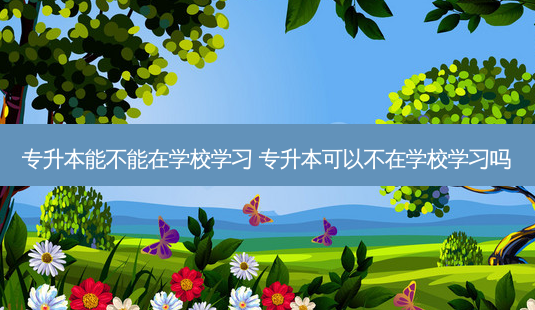专升本能不能在学校学习 专升本可以不在学校学习吗-第1张图片-天智网 专升本能不能在学校学习 专升本可以不在学校学习吗-第1张图片-天智网