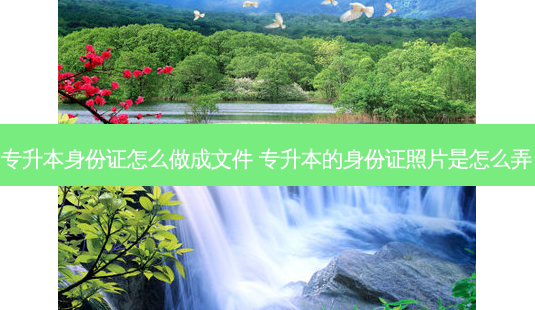 专升本身份证怎么做成文件 专升本的身份证照片是怎么弄-第1张图片-天智网 专升本身份证怎么做成文件 专升本的身份证照片是怎么弄-第1张图片-天智网