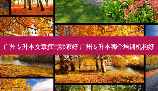 广州专升本文章撰写哪家好 广州专升本哪个培训机构好-第1张图片-天智网 广州专升本文章撰写哪家好 广州专升本哪个培训机构好-第1张图片-天智网
