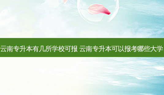 云南专升本有几所学校可报 云南专升本可以报考哪些大学-第1张图片-天智网 云南专升本有几所学校可报 云南专升本可以报考哪些大学-第1张图片-天智网