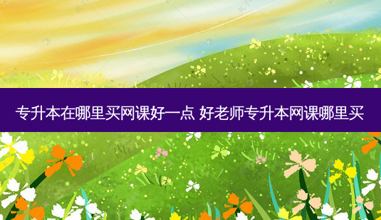 专升本在哪里买网课好一点 好老师专升本网课哪里买-第1张图片-天智网 专升本在哪里买网课好一点 好老师专升本网课哪里买-第1张图片-天智网