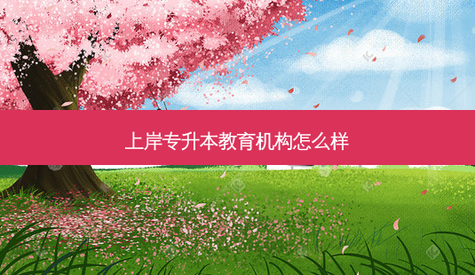 上岸专升本教育机构怎么样-第1张图片-天智网 上岸专升本教育机构怎么样-第1张图片-天智网