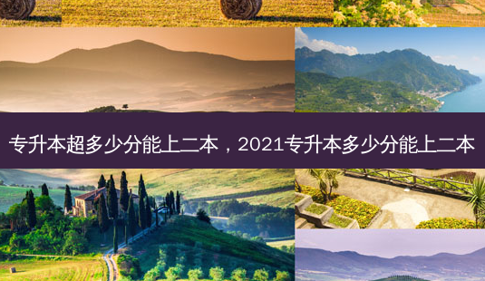 专升本超多少分能上二本,2021专升本多少分能上二本-第1张图片-天智网 专升本超多少分能上二本,2021专升本多少分能上二本-第1张图片-天智网