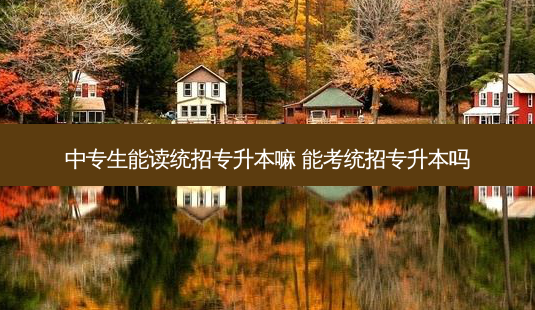 中专生能读统招专升本嘛 能考统招专升本吗-第1张图片-天智网 中专生能读统招专升本嘛 能考统招专升本吗-第1张图片-天智网