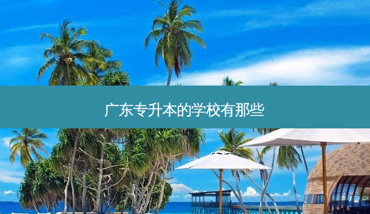 广东专升本的学校有那些-第1张图片-天智网 广东专升本的学校有那些-第1张图片-天智网