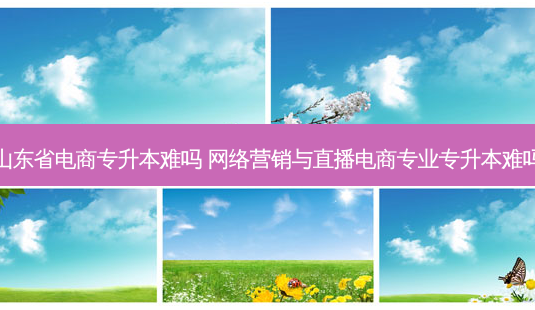 山东省电商专升本难吗 *** 营销与直播电商专业专升本难吗-第1张图片-天智网 山东省电商专升本难吗 *** 营销与直播电商专业专升本难吗-第1张图片-天智网