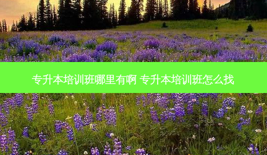 专升本培训班哪里有啊 专升本培训班怎么找-第1张图片-天智网 专升本培训班哪里有啊 专升本培训班怎么找-第1张图片-天智网