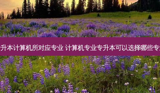 专升本计算机所对应专业 计算机专业专升本可以选择哪些专业-第1张图片-天智网 专升本计算机所对应专业 计算机专业专升本可以选择哪些专业-第1张图片-天智网