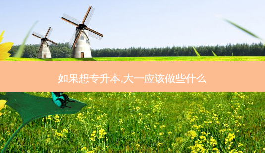 如果想专升本,大一应该做些什么-第1张图片-天智网 如果想专升本,大一应该做些什么-第1张图片-天智网