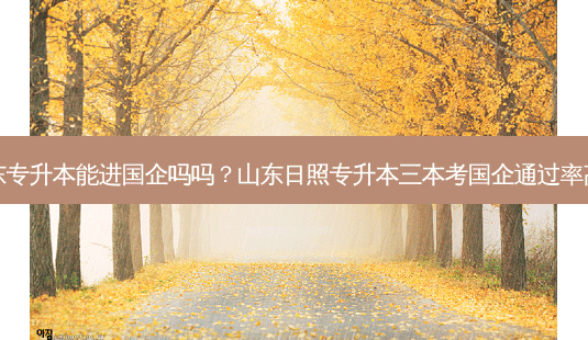 山东专升本能进国企吗吗?山东日照专升本三本考国企通过率高吗-第1张图片-天智网 山东专升本能进国企吗吗?山东日照专升本三本考国企通过率高吗-第1张图片-天智网