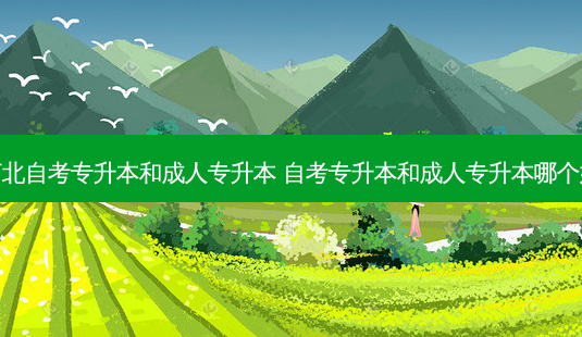 河北自考专升本和成人专升本 自考专升本和成人专升本哪个好-第1张图片-天智网 河北自考专升本和成人专升本 自考专升本和成人专升本哪个好-第1张图片-天智网