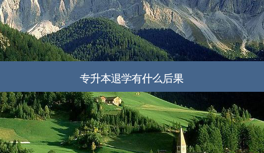专升本退学有什么后果-第1张图片-天智网 专升本退学有什么后果-第1张图片-天智网