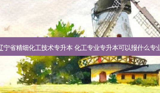 辽宁省精细化工技术专升本 化工专业专升本可以报什么专业-第1张图片-天智网 辽宁省精细化工技术专升本 化工专业专升本可以报什么专业-第1张图片-天智网