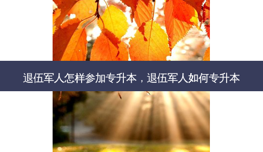 退伍军人怎样参加专升本,退伍军人如何专升本-第1张图片-天智网 退伍军人怎样参加专升本,退伍军人如何专升本-第1张图片-天智网
