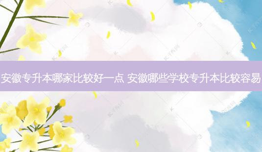 安徽专升本哪家比较好一点 安徽哪些学校专升本比较容易-第1张图片-天智网 安徽专升本哪家比较好一点 安徽哪些学校专升本比较容易-第1张图片-天智网