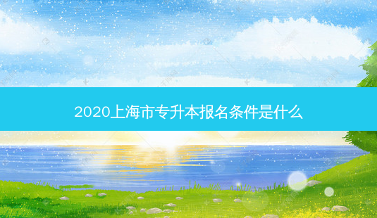 2020上海市专升本报名条件是什么-第1张图片-汇成专升本网