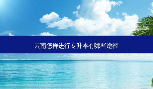 云南怎样进行专升本有哪些途径-第1张图片-天智网 云南怎样进行专升本有哪些途径-第1张图片-天智网