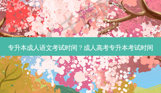 专升本成人语文考试时间?成人高考专升本考试时间-第1张图片-天智网 专升本成人语文考试时间?成人高考专升本考试时间-第1张图片-天智网