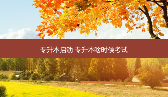 专升本启动 专升本啥时候考试-第1张图片-天智网 专升本启动 专升本啥时候考试-第1张图片-天智网