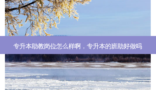 专升本助教岗位怎么样啊,专升本的班助好做吗-第1张图片-天智网 专升本助教岗位怎么样啊,专升本的班助好做吗-第1张图片-天智网