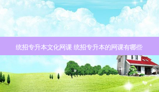 统招专升本文化网课 统招专升本的网课有哪些-第1张图片-天智网 统招专升本文化网课 统招专升本的网课有哪些-第1张图片-天智网