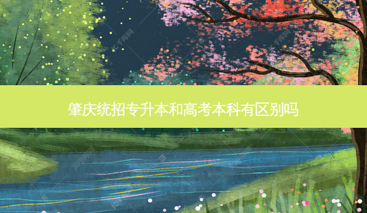 肇庆统招专升本和高考本科有区别吗-第1张图片-天智网 肇庆统招专升本和高考本科有区别吗-第1张图片-天智网