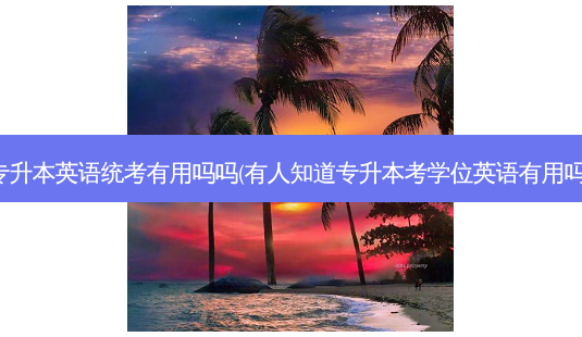 专升本英语统考有用吗吗(有人知道专升本考学位英语有用吗)-第1张图片-天智网 专升本英语统考有用吗吗(有人知道专升本考学位英语有用吗)-第1张图片-天智网