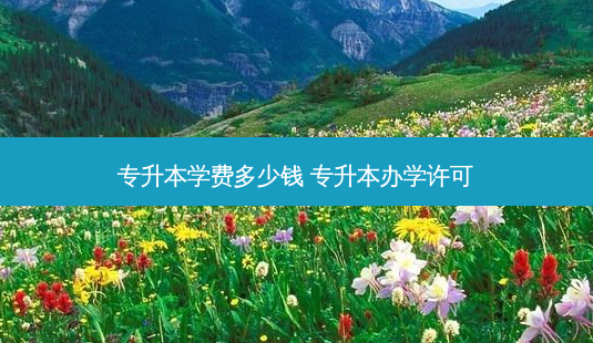 专升本学费多少钱 专升本办学许可-第1张图片-天智网 专升本学费多少钱 专升本办学许可-第1张图片-天智网