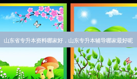 山东省专升本资料哪家好,山东专升本辅导哪家 *** 好呢-第1张图片-天智网 山东省专升本资料哪家好,山东专升本辅导哪家 *** 好呢-第1张图片-天智网
