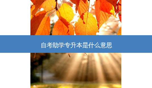自考助学专升本是什么意思-第1张图片-天智网 自考助学专升本是什么意思-第1张图片-天智网
