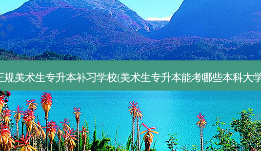 正规美术生专升本补习学校(美术生专升本能考哪些本科大学)-第1张图片-天智网 正规美术生专升本补习学校(美术生专升本能考哪些本科大学)-第1张图片-天智网