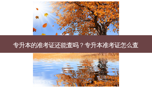 专升本的准考证还能查吗?专升本准考证怎么查-第1张图片-天智网 专升本的准考证还能查吗?专升本准考证怎么查-第1张图片-天智网