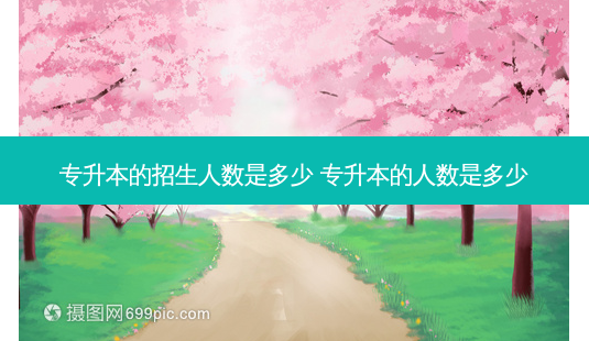 专升本的招生人数是多少 专升本的人数是多少-第1张图片-天智网 专升本的招生人数是多少 专升本的人数是多少-第1张图片-天智网