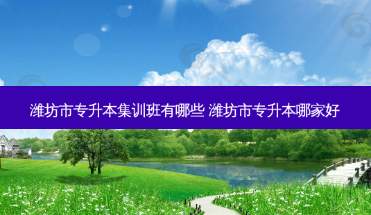潍坊市专升本集训班有哪些 潍坊市专升本哪家好-第1张图片-天智网 潍坊市专升本集训班有哪些 潍坊市专升本哪家好-第1张图片-天智网