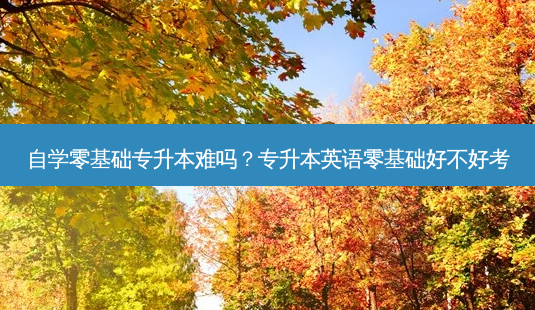 自学零基础专升本难吗?专升本英语零基础好不好考-第1张图片-天智网 自学零基础专升本难吗?专升本英语零基础好不好考-第1张图片-天智网