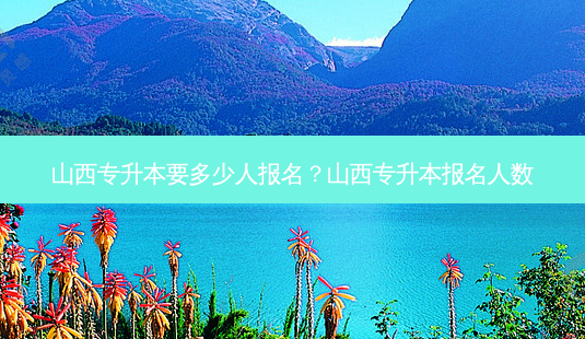 山西专升本要多少人报名?山西专升本报名人数-第1张图片-天智网 山西专升本要多少人报名?山西专升本报名人数-第1张图片-天智网