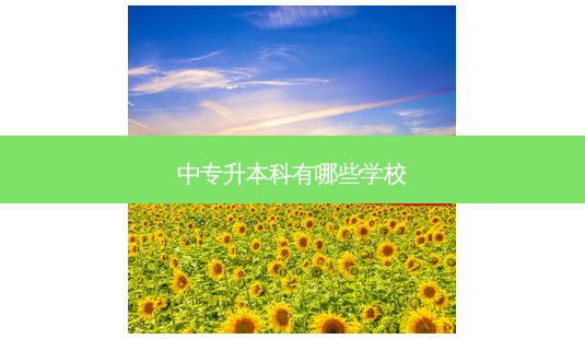 中专升本科有哪些学校-第1张图片-天智网 中专升本科有哪些学校-第1张图片-天智网