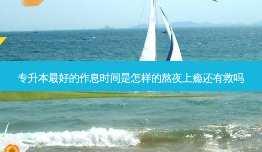 专升本 *** 好的作息时间是怎样的熬夜上瘾还有救吗-第1张图片-天智网 专升本 *** 好的作息时间是怎样的熬夜上瘾还有救吗-第1张图片-天智网