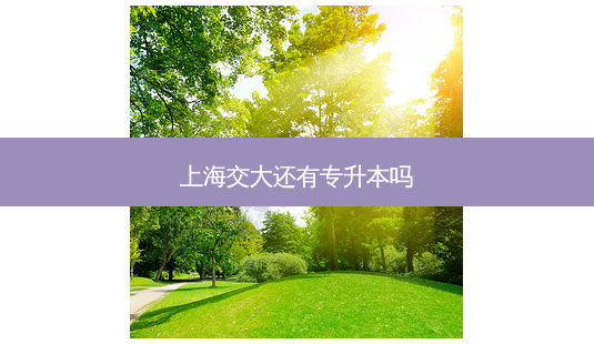 上海交大还有专升本吗-第1张图片-天智网 上海交大还有专升本吗-第1张图片-天智网
