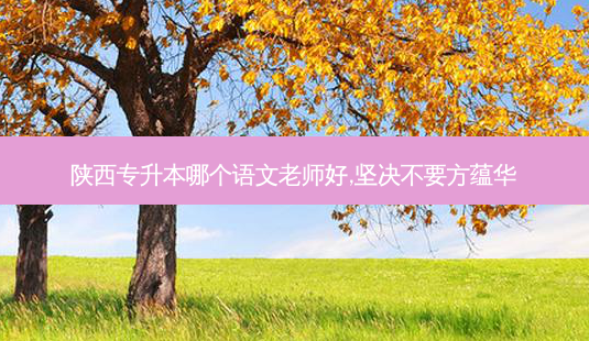 陕西专升本哪个语文老师好,坚决不要方蕴华-第1张图片-天智网 陕西专升本哪个语文老师好,坚决不要方蕴华-第1张图片-天智网