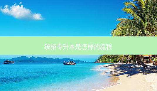统招专升本是怎样的流程-第1张图片-天智网 统招专升本是怎样的流程-第1张图片-天智网