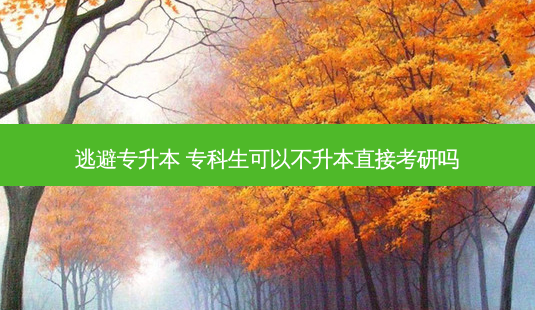 逃避专升本 专科生可以不升本直接考研吗-第1张图片-天智网 逃避专升本 专科生可以不升本直接考研吗-第1张图片-天智网