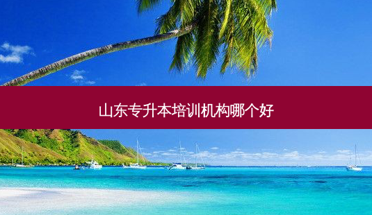 山东专升本培训机构哪个好-第1张图片-天智网 山东专升本培训机构哪个好-第1张图片-天智网
