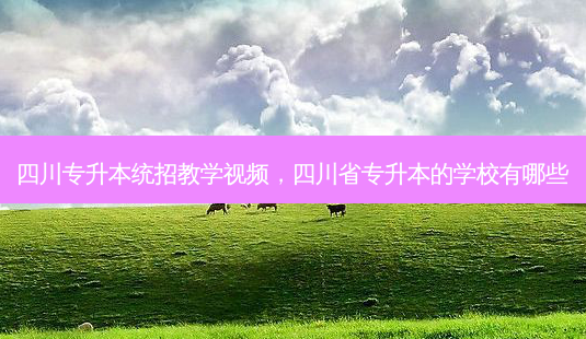 四川专升本统招教学视频，四川省专升本的学校有哪些-第1张图片-汇成专升本网