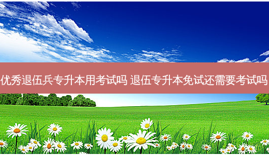 优秀退伍兵专升本用考试吗 退伍专升本免试还需要考试吗-第1张图片-天智网 优秀退伍兵专升本用考试吗 退伍专升本免试还需要考试吗-第1张图片-天智网