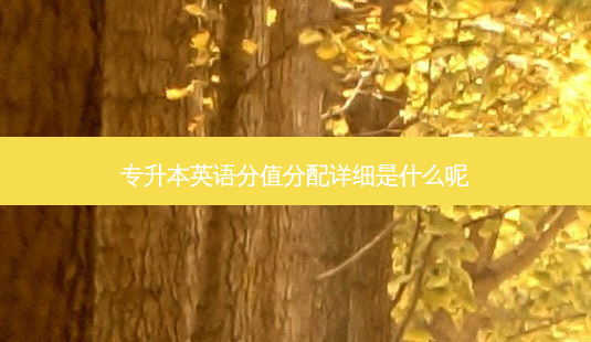 专升本英语分值分配详细是什么呢-第1张图片-天智网 专升本英语分值分配详细是什么呢-第1张图片-天智网